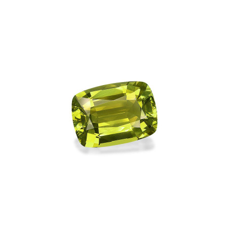 CUSHION-cut Green Tourmaline Pistachio Green 26.89 carats