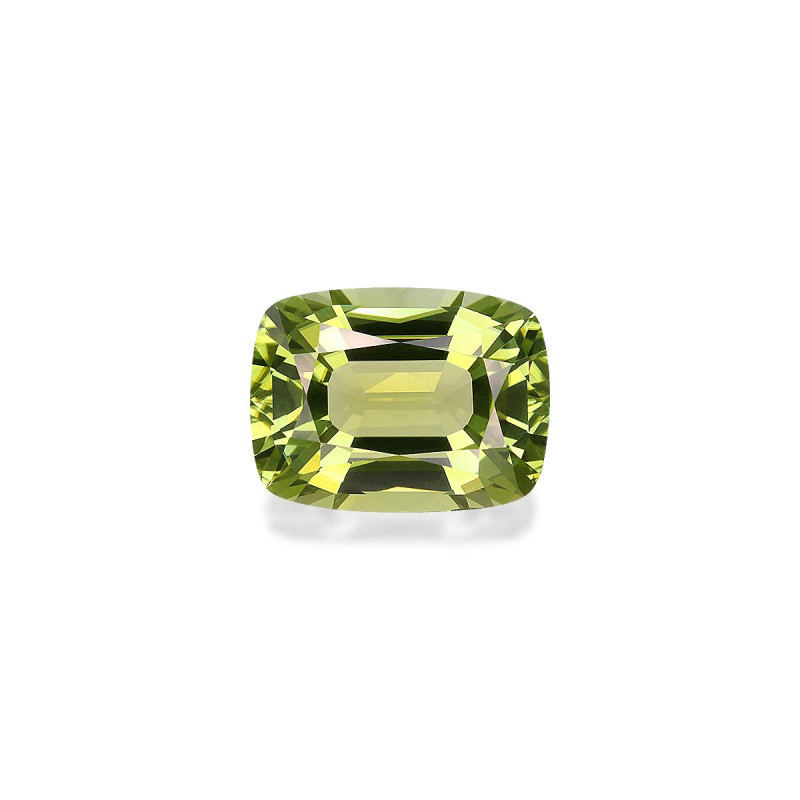绿色电气石 taille 靠垫 开心果绿 13.13 carats