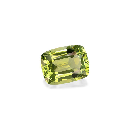 绿色电气石 taille 靠垫 开心果绿 13.13 carats