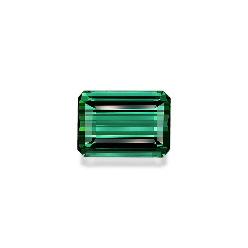 绿色电气石 taille 矩形的 海沫绿 19.90 carats