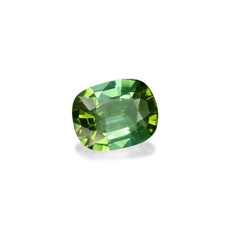 CUSHION-cut Green Tourmaline Green 9.95 carats