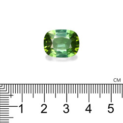 Kussen geslepen Lime Groene Toermalijn van 9,95 karaat