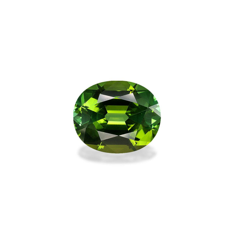 OVAL-cut Green Tourmaline Green 10.90 carats