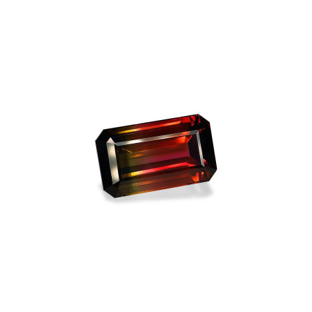 multi color tourmaline taille RECTANGULARE Multi Color 57.39 carats