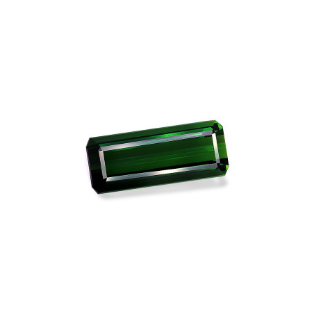 铬电气石 taille 矩形的 绿色 18.37 carats