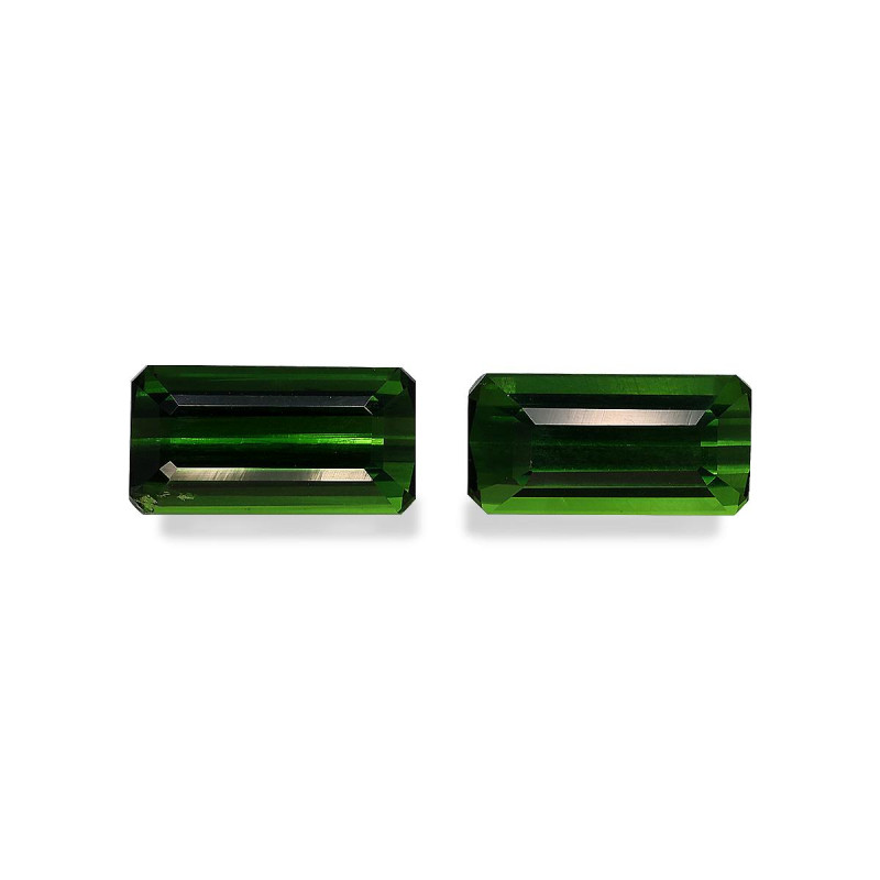 Tourmaline Chromée taille RECTANGULARE 绿色 4.63 carats