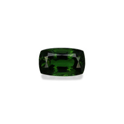 铬电气石 taille 靠垫 苔藓绿 2.80 carats