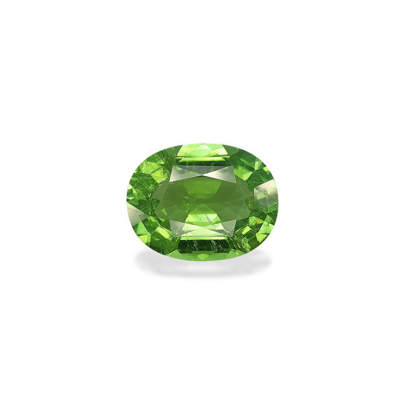 Tourmaline Paraiba taille OVALE Lime Green 15.88 carats