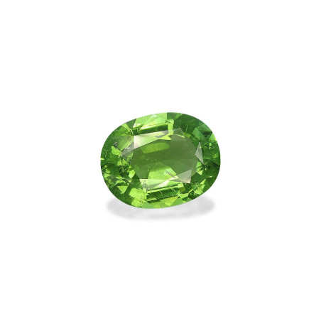 OVAL-cut Paraiba Tourmaline Lime Green 15.88 carats