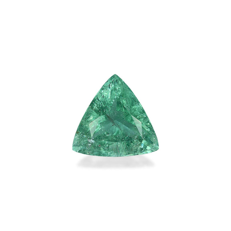 Tourmaline Paraiba taille Trilliant Intense Green 13.54 carats