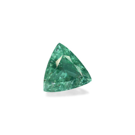 Trilliant-cut Paraiba Tourmaline Intense Green 13.54 carats