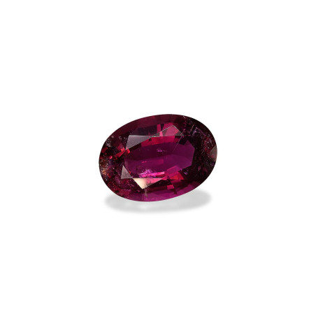 红碧榴石 taille 椭圆形 强烈的粉红色红色 14.77 carats