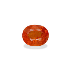 spessartite الحجم بيضاوي...
