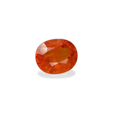 OVAL-cut spessartite Orange 22.62 carats