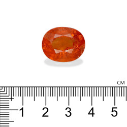 spessartite الحجم بيضاوي البرتقالي 22.62 