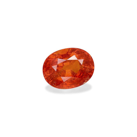 OVAL-cut spessartite Orange 23.64 carats