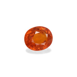spessartite الحجم بيضاوي البرتقالي 11.88 