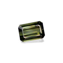Tourmaline Verte taille RECTANGULARE Vert 38.76 carats
