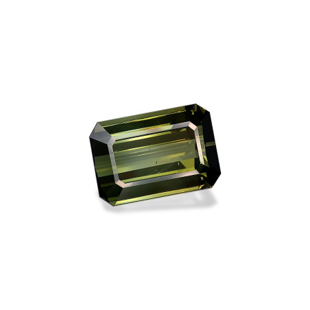 RECTANGULAR-cut Green Tourmaline Green 38.76 carats