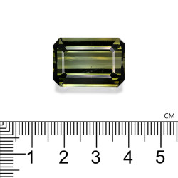 Tourmaline Verte taille RECTANGULARE Vert 38.76 carats