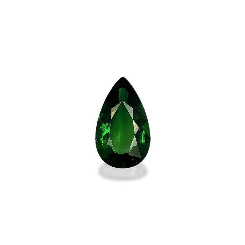 铬电气石 taille 椭圆形 罗勒绿 3.10 carats