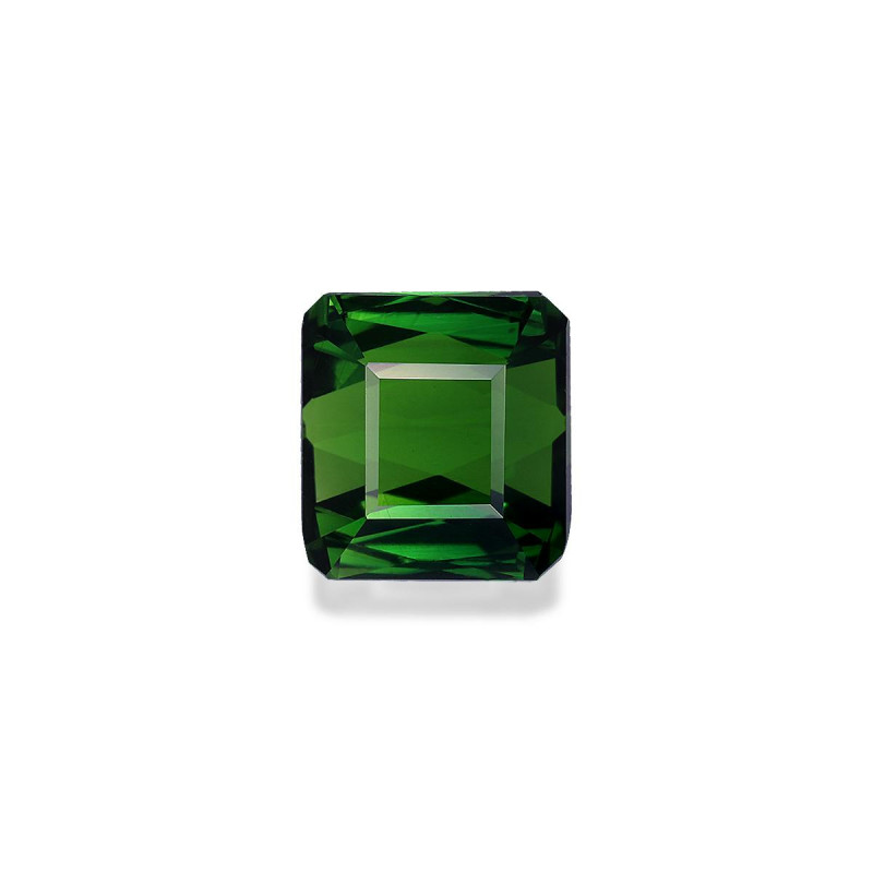 Tourmaline Chromée taille RECTANGULARE 绿色 2.92 carats