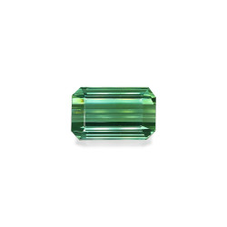 Tourmaline Verte taille...