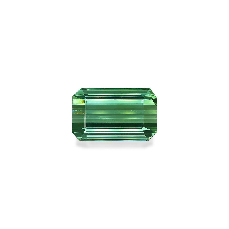Tourmaline Verte taille RECTANGULARE 绿色 25.95 carats