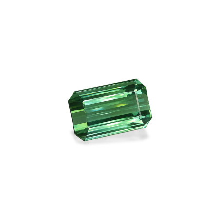 RECTANGULAR-cut Green Tourmaline Green 25.95 carats