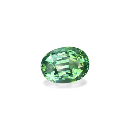 Tourmaline Verte taille OVALE Seafoam Green 17.61 carats