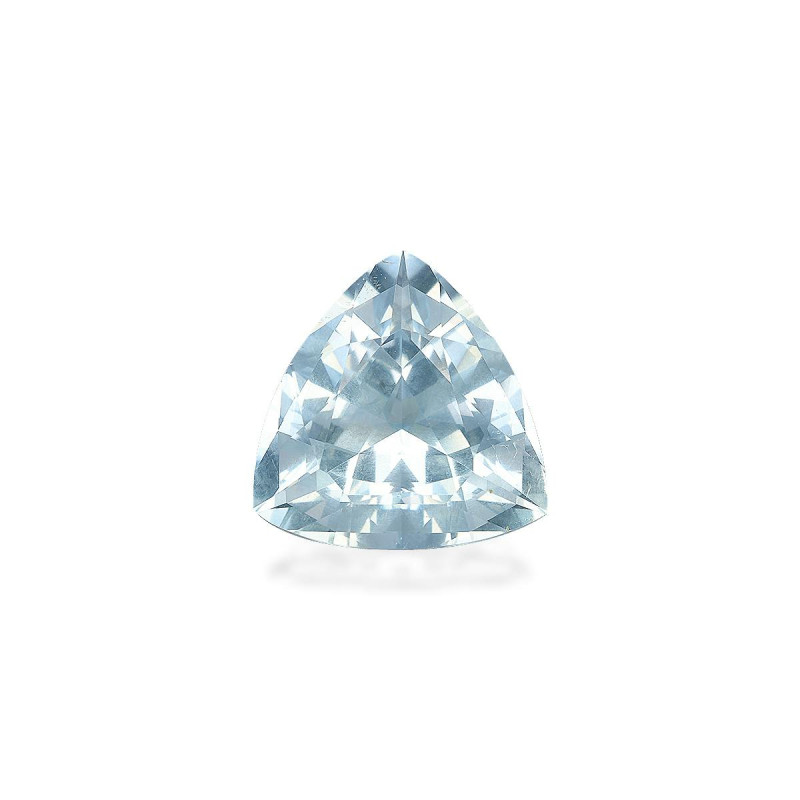 Trilliant-cut Aquamarine Sky Blue 12.96 carats