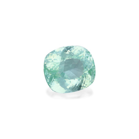 بارايبا التورمالين الحجم وسادة Seafoam Green 32.21 