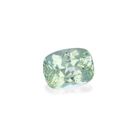 Turmalina Paraiba taille COUSSIN Lime Green 16.30 carats