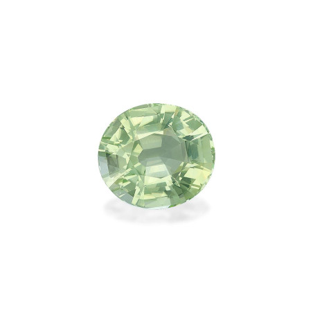 Turmalina Paraiba taille OVALE Lime Green 54.58 carats