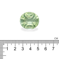 Ovale geslepen Lime Green Paraiba-toermalijn van 54,58 karaat