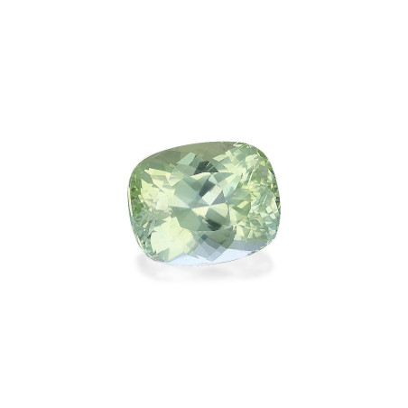 Turmalina Paraiba taille COUSSIN Lime Green 23.44 carats