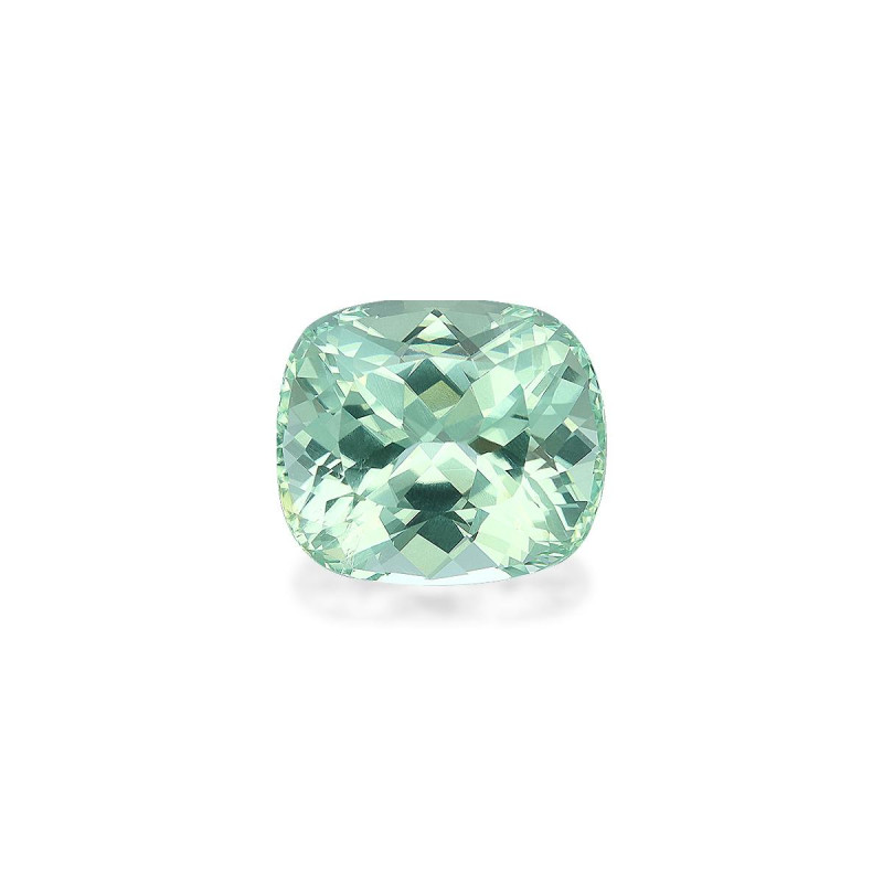 帕拉伊巴电气石 taille 靠垫 海沫绿 5.64 carats