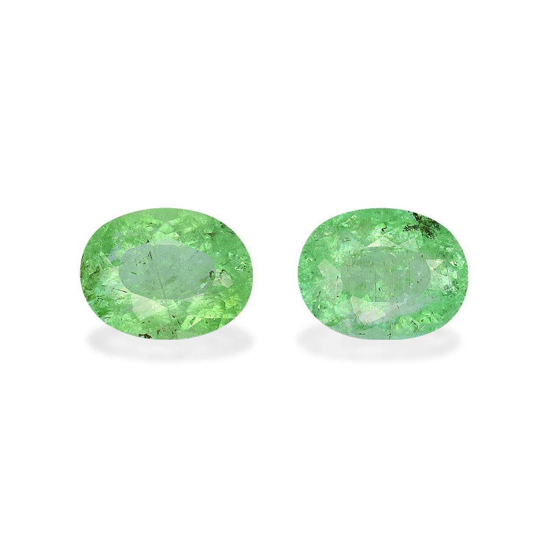 帕拉伊巴电气石 taille 椭圆形 绿色 3.09 carats
