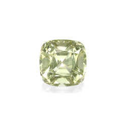 石榴石 taille 靠垫 绿色 2.49 carats