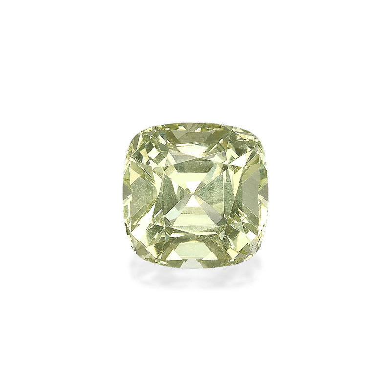 石榴石 taille 靠垫 绿色 2.49 carats