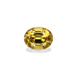 石榴石 taille 椭圆形 绿色 5.27 carats