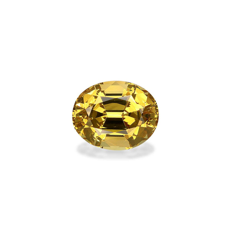 石榴石 taille 椭圆形 绿色 5.27 carats