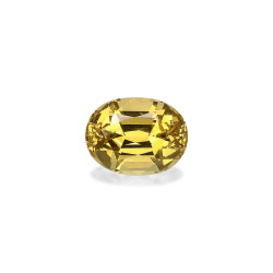 椭圆形绿色石榴石2.89克拉