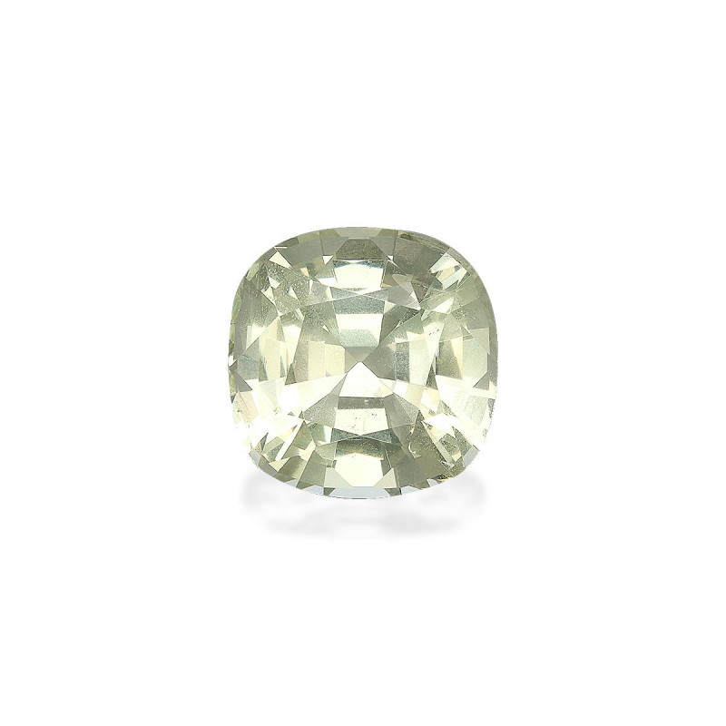 石榴石 taille 靠垫 绿色 6.69 carats