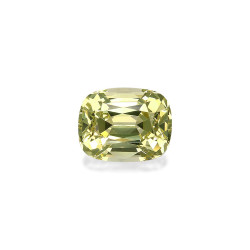 石榴石 taille 靠垫 青柠绿 2.90 carats