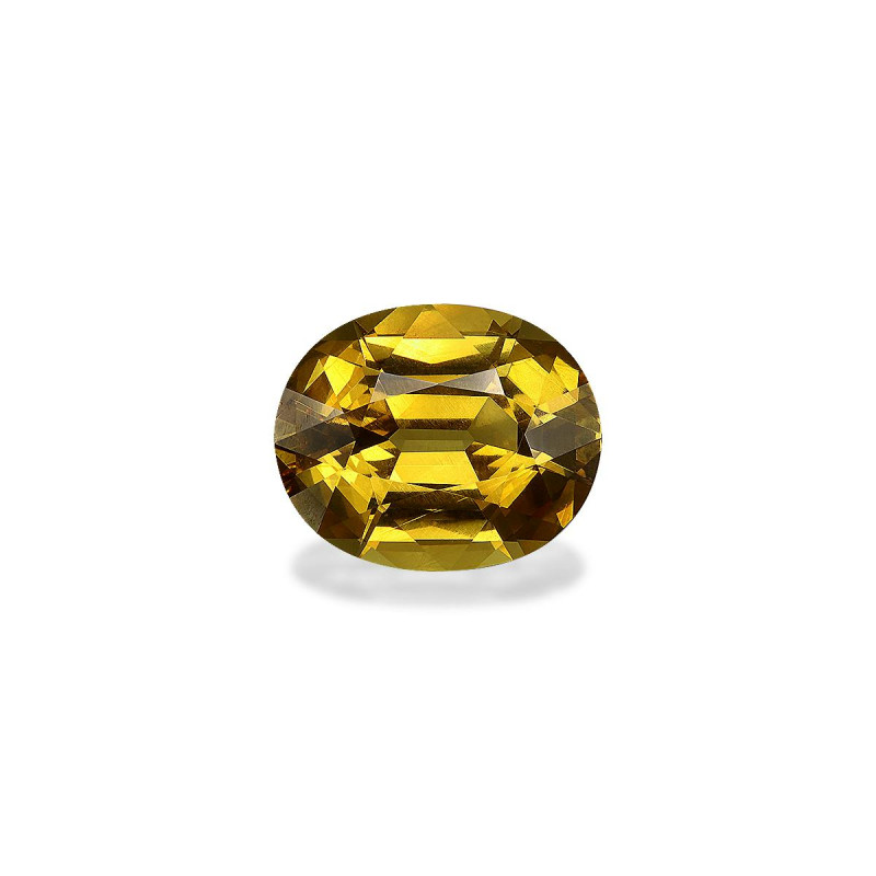 石榴石 taille 椭圆形 绿色 9.98 carats
