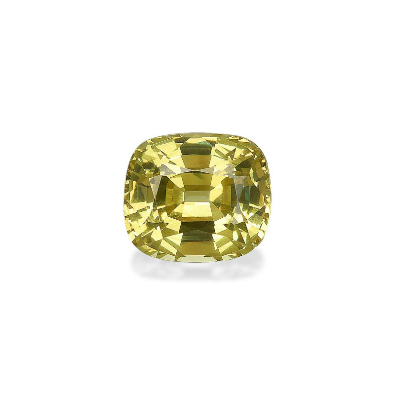 石榴石 taille 靠垫 绿色 3.20 carats