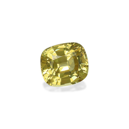 Grenat Grossulaire taille COUSSIN VERT 3.20 carats