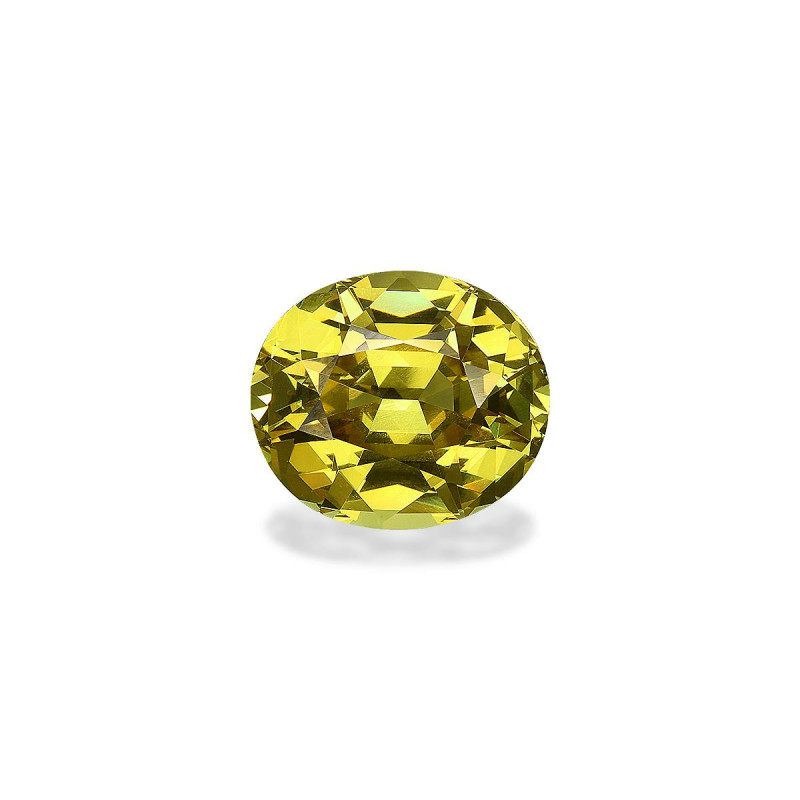 石榴石 taille 椭圆形 绿色 6.95 carats