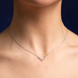 Diamanten Hanger Vissenteken
